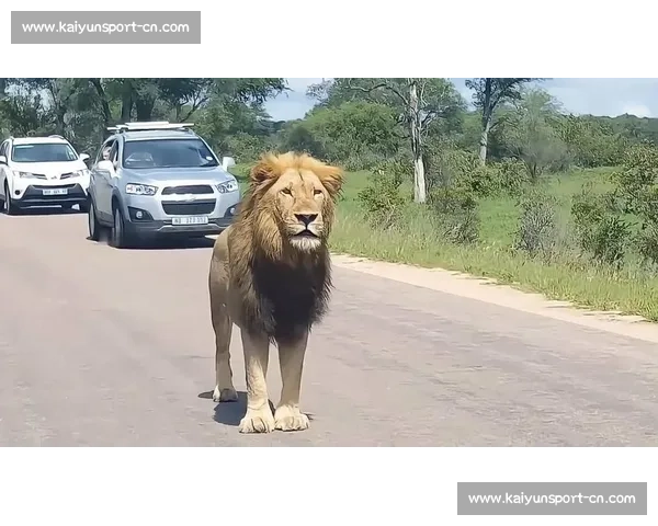 索罗・西科亚加冕全美冠军：实力碾压，何须 “YEET” 狂欢？